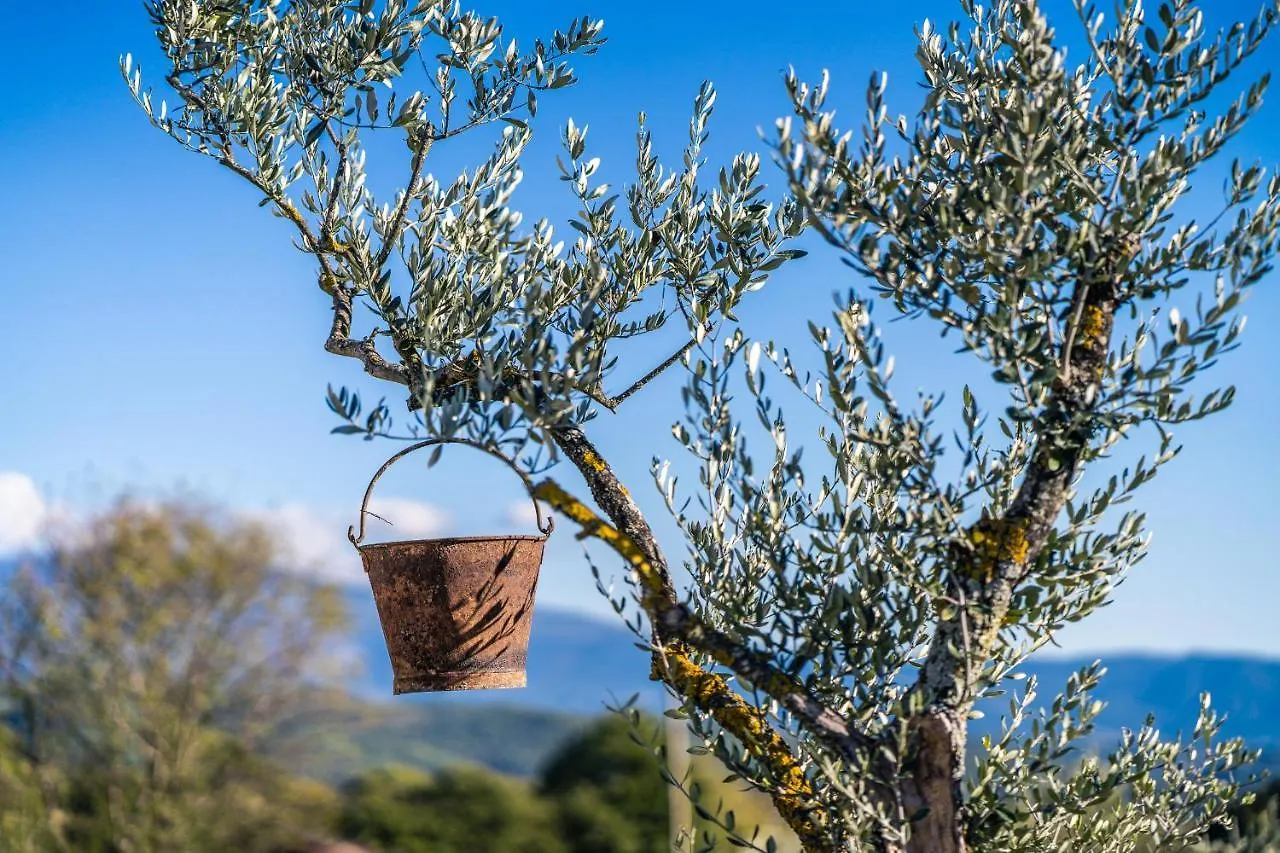 La Sainte-Croix: Traditional Provencal Retreat with Pool Vaison-la-Romaine France
