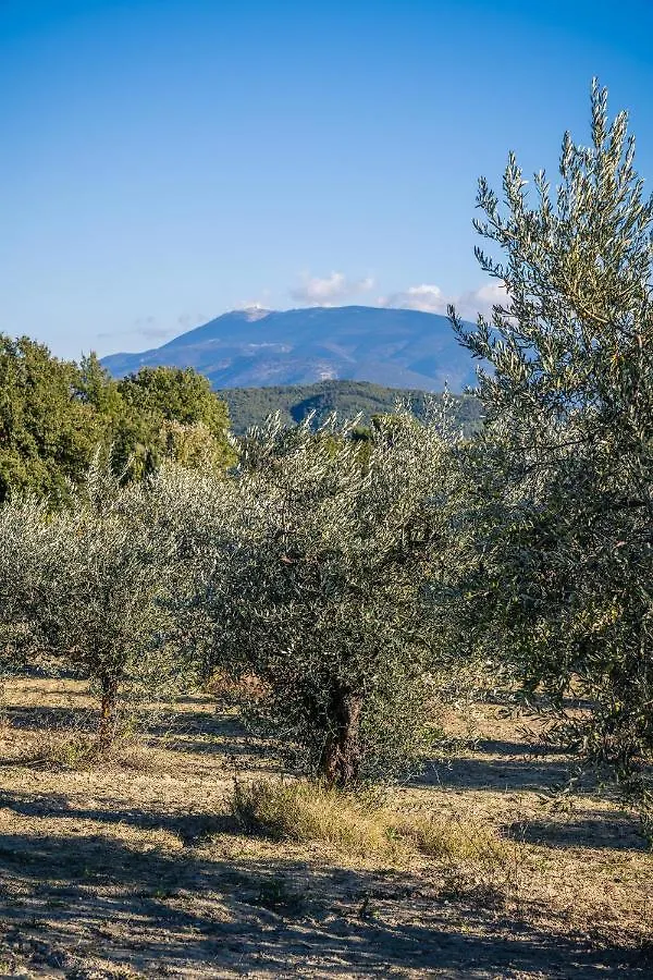 La Sainte-Croix: Traditional Provencal Retreat with Pool Vaison-la-Romaine France