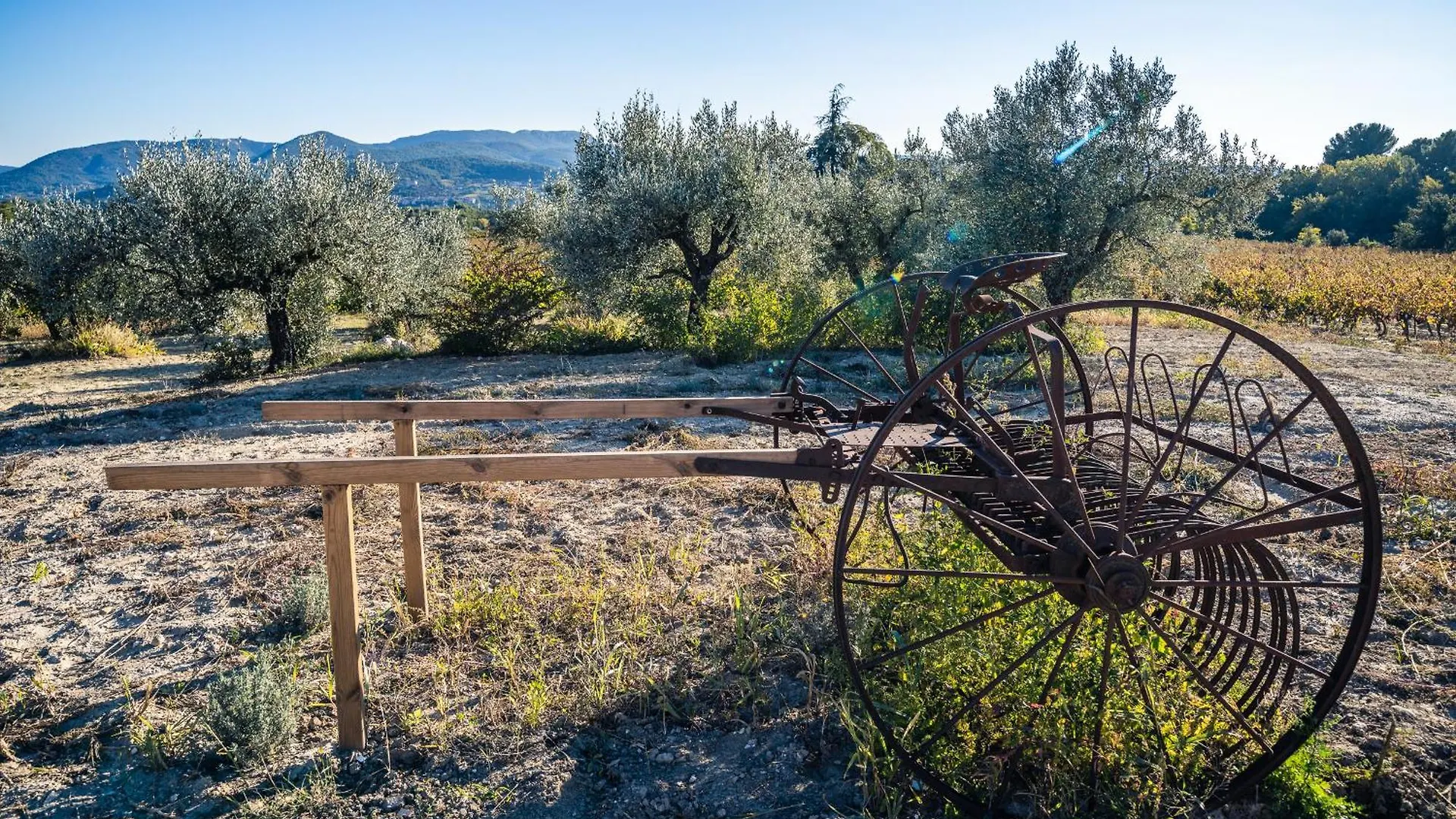 Holiday home La Sainte-Croix: Traditional Provencal Retreat with Pool Vaison-la-Romaine France