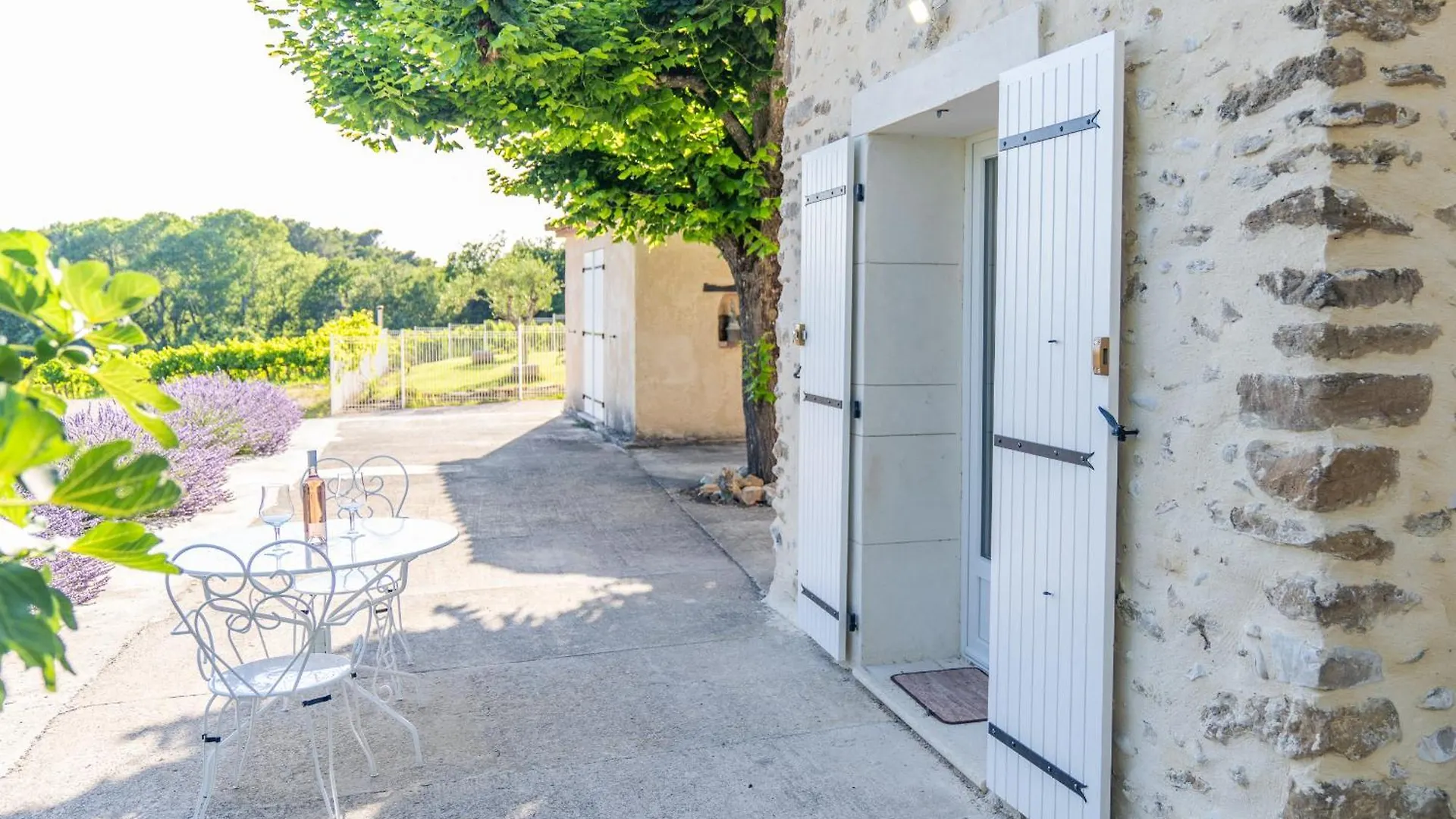 La Sainte-Croix: Traditional Provencal Retreat with Pool Vaison-la-Romaine Holiday home