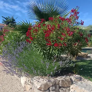  Appartement Douce Provence Magnifique Neuf Avec Jardin Proche Du Centre